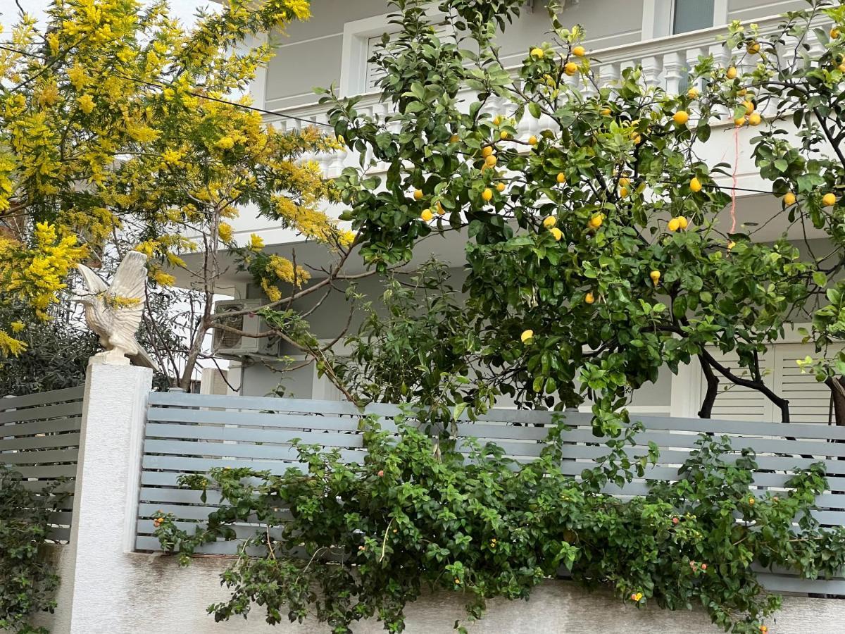 & Ardian-mandi Sarande-albania Apartment